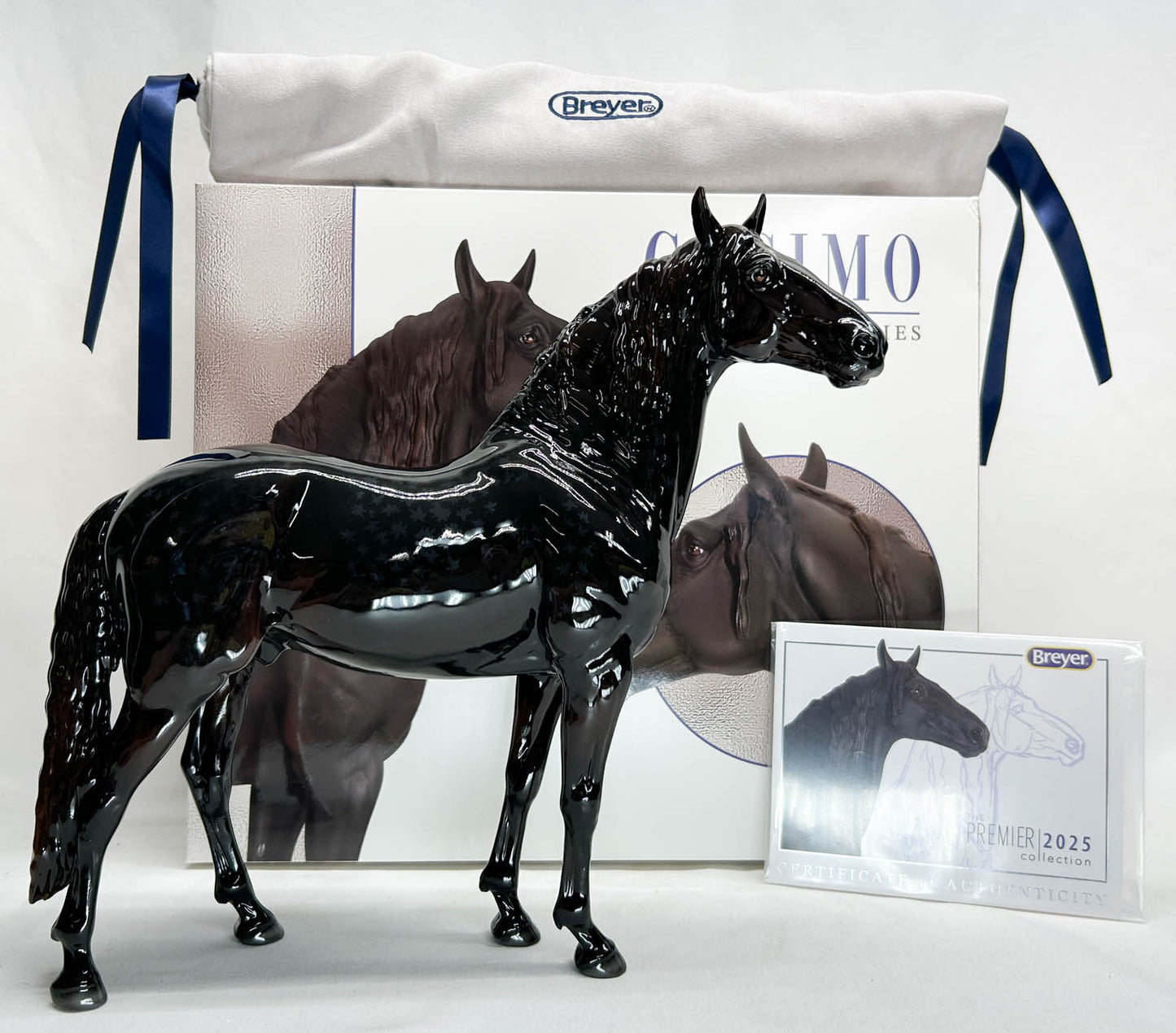Murgese Stallion ~ Cosimo - Glossy - Premier Club
