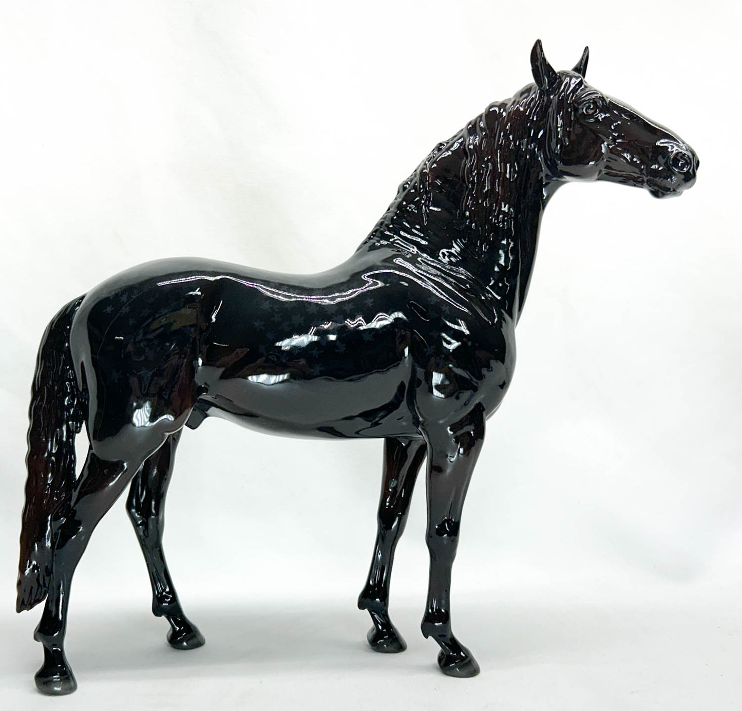 Murgese Stallion ~ Cosimo - Glossy - Premier Club