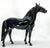 Murgese Stallion ~ Cosimo - Glossy - Premier Club