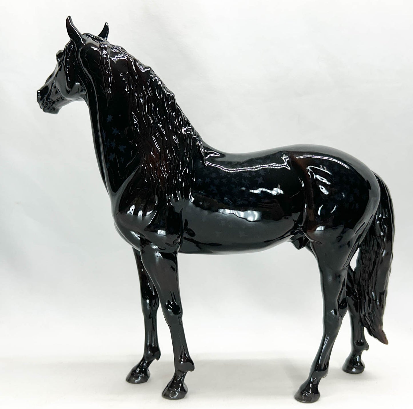 Murgese Stallion ~ Cosimo - Glossy - Premier Club