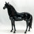 Murgese Stallion ~ Cosimo - Glossy - Premier Club