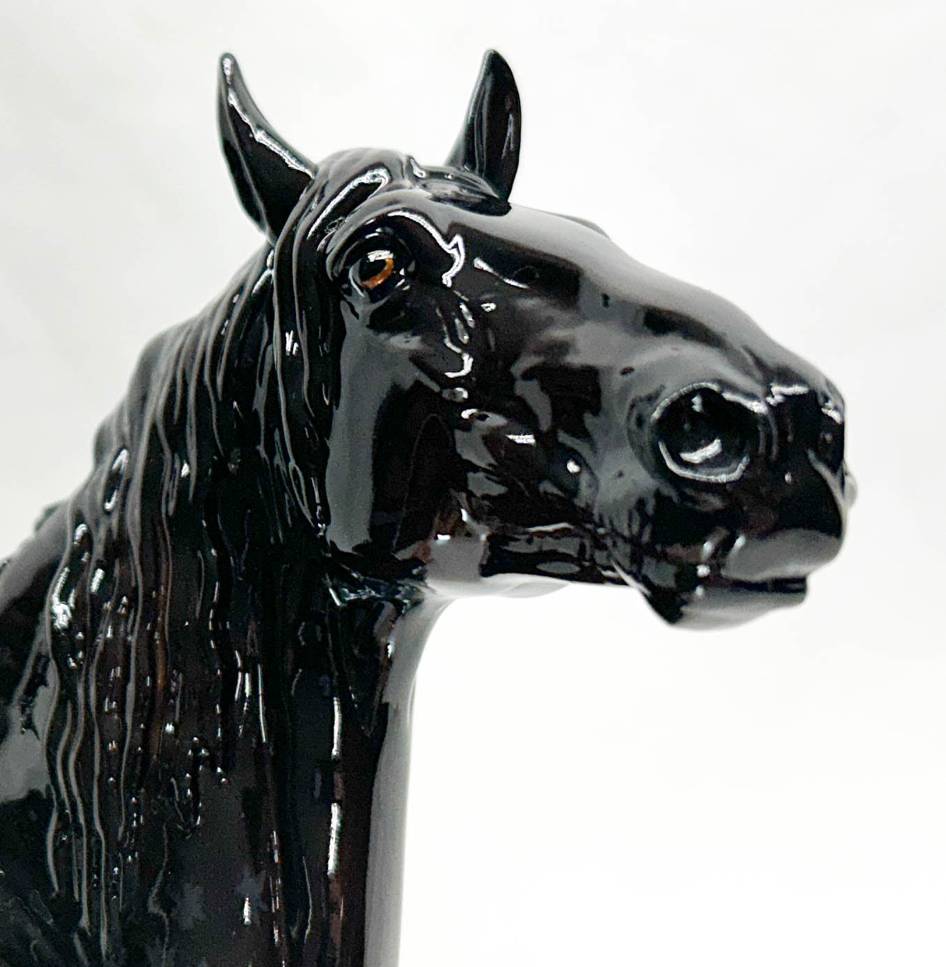 Murgese Stallion ~ Cosimo - Glossy - Premier Club