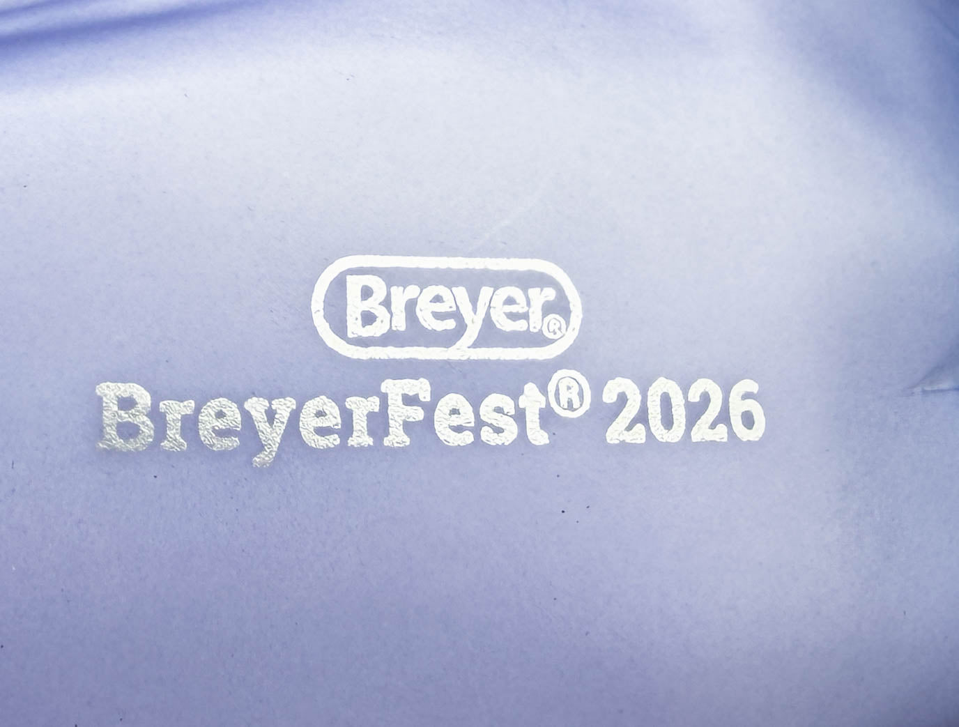 Mustang Stallion (aka Fireheart) ~ The Wanderer - BreyerFest 2026 SR