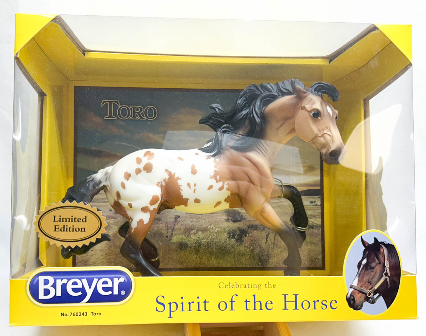 Nokota ~ Toro - 2016 Flagship Model - from Eleda's herd