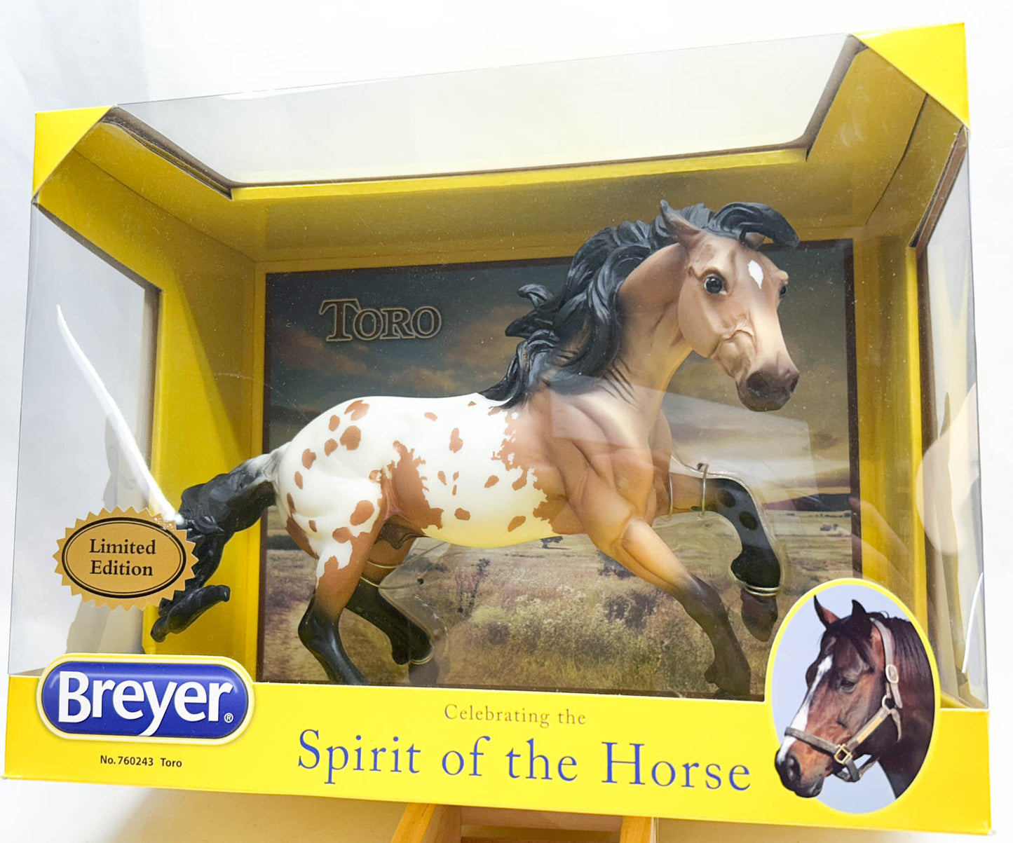 Nokota ~ Toro - 2016 Flagship Model - from Eleda's herd