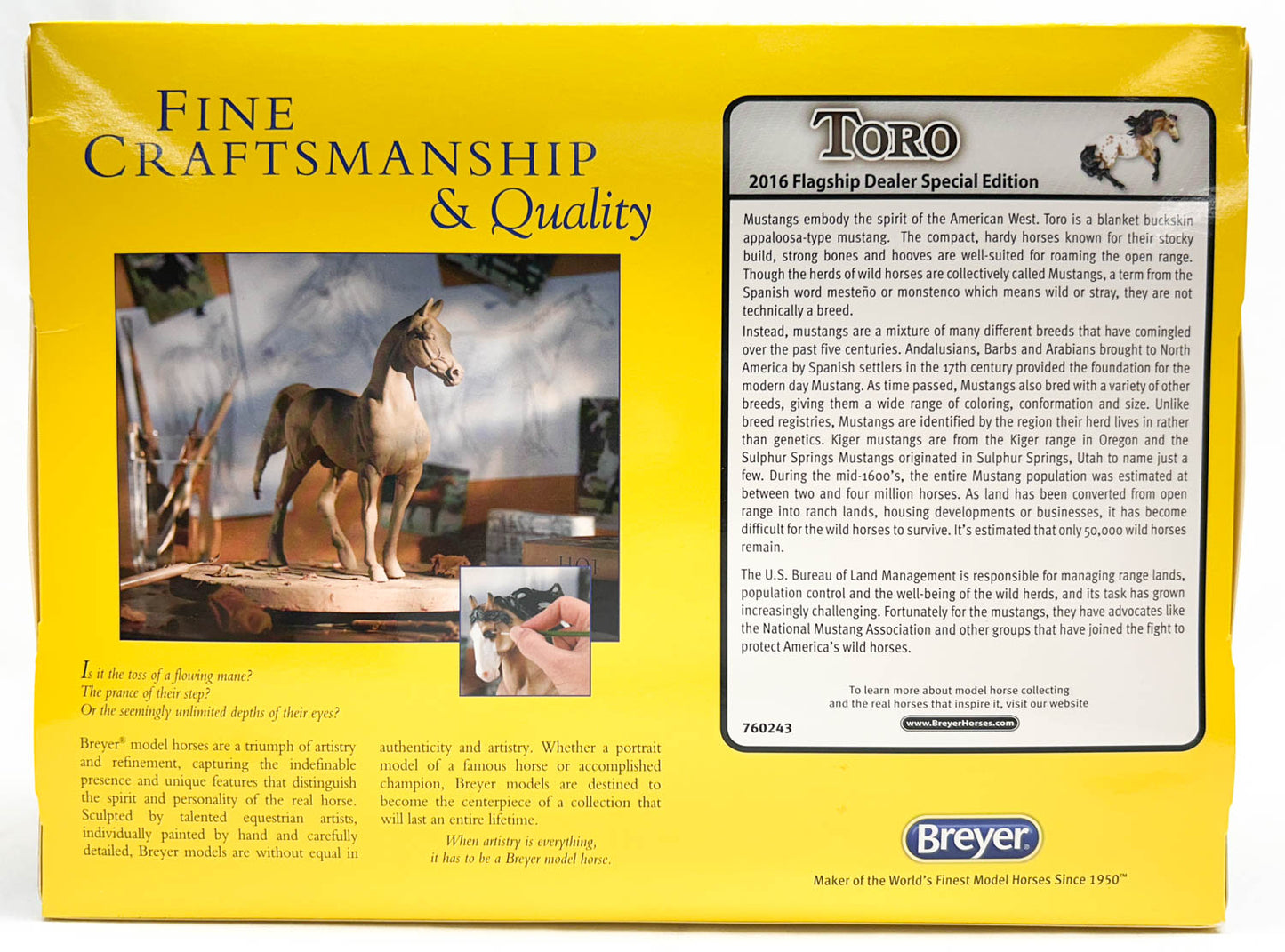 Nokota ~ Toro - 2016 Flagship Model - from Eleda's herd