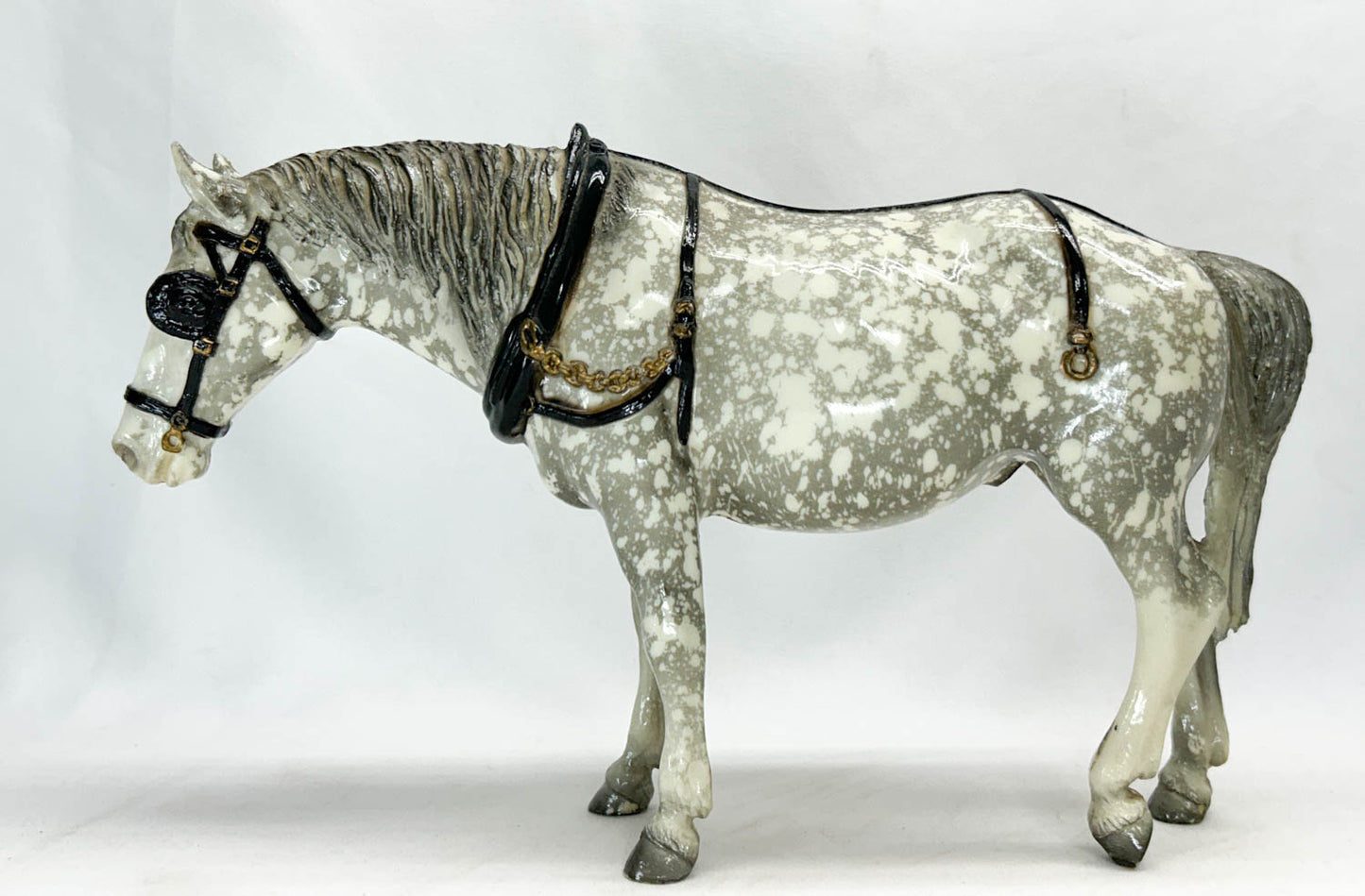 Old Timer, Dapple Grey - Glossy from Eleda's herd
