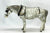 Old Timer, Dapple Grey - Glossy from Eleda's herd
