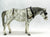 Old Timer, Dapple Grey - Glossy from Eleda's herd