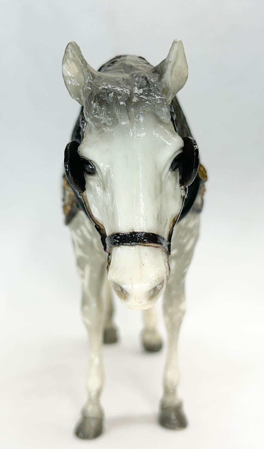 Old Timer, Dapple Grey - Glossy from Eleda's herd