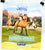Breyer Spirit Riding Free Promotional Poster