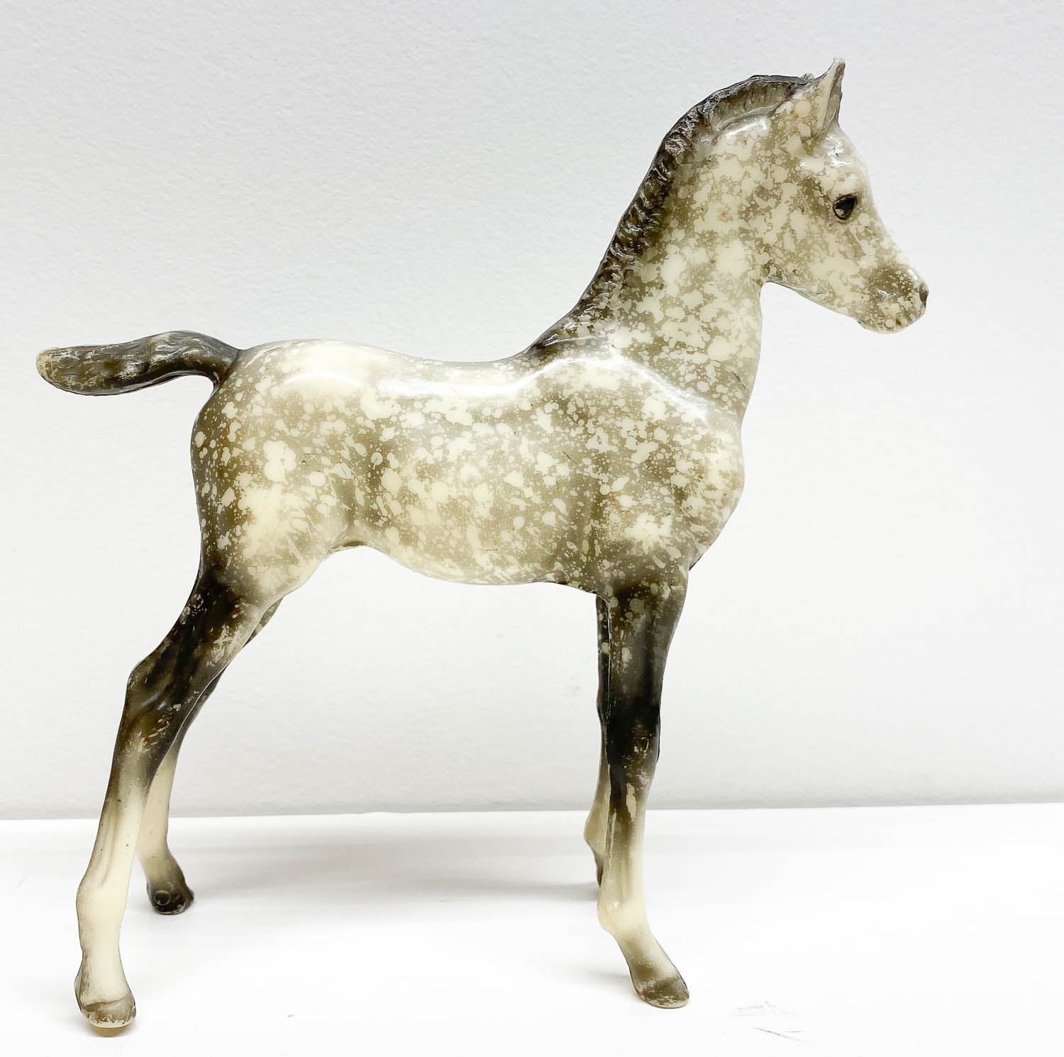 Proud Arabian Foal, Dapple Grey Semi-Gloss