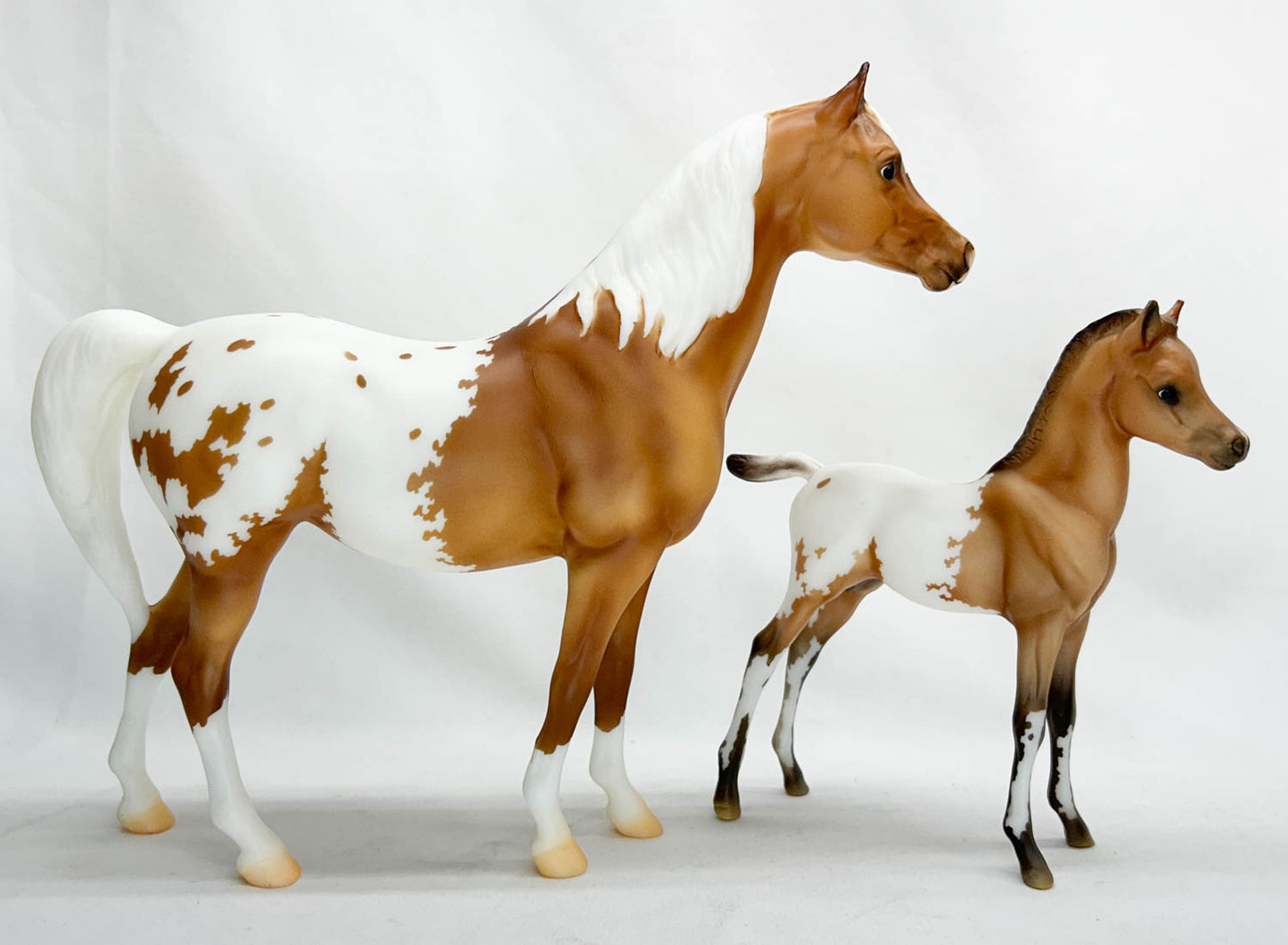 Proud Arabian Mare and Foal, Ara-Appaloosas - Web Special