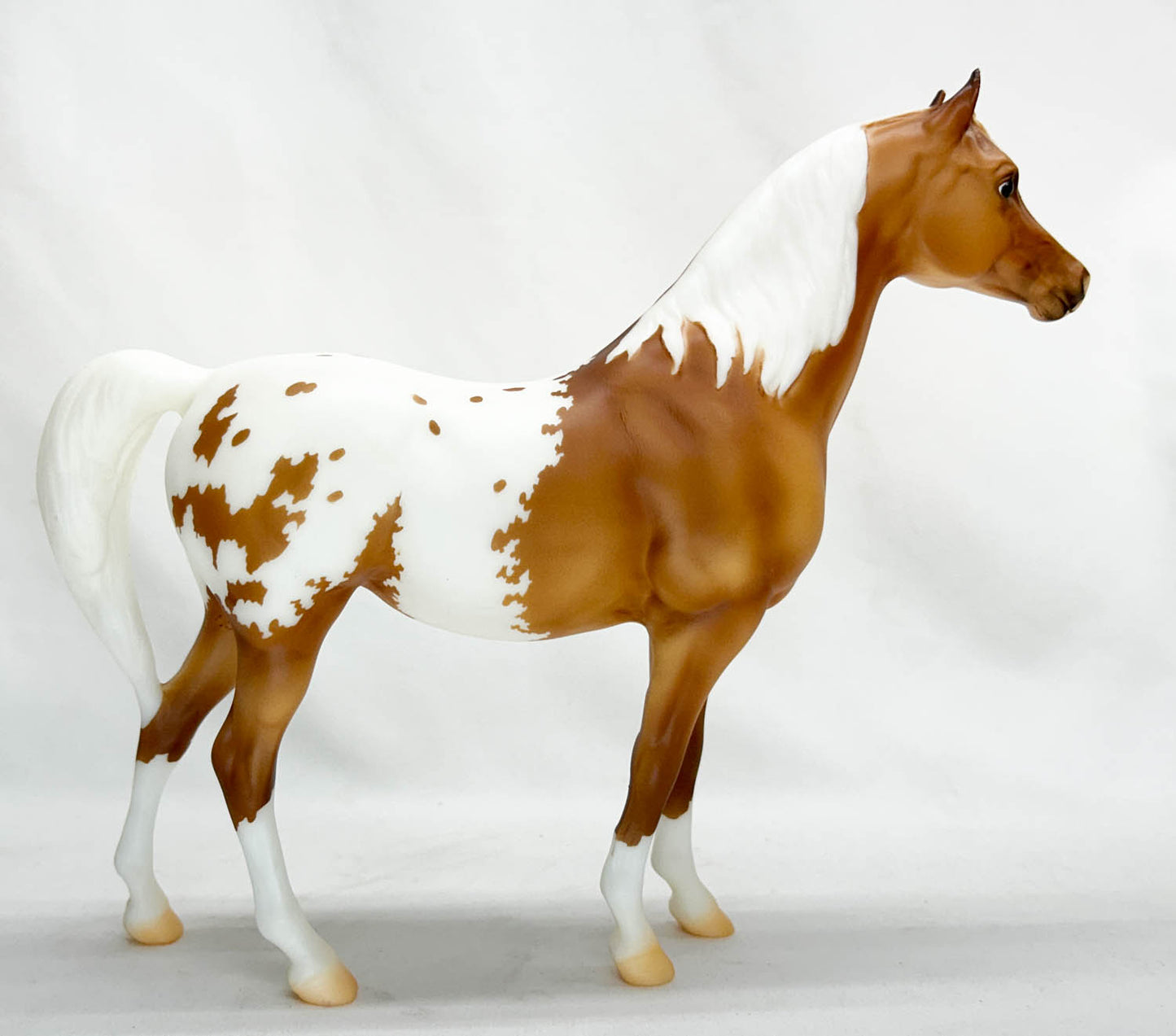 Proud Arabian Mare and Foal, Ara-Appaloosas - Web Special