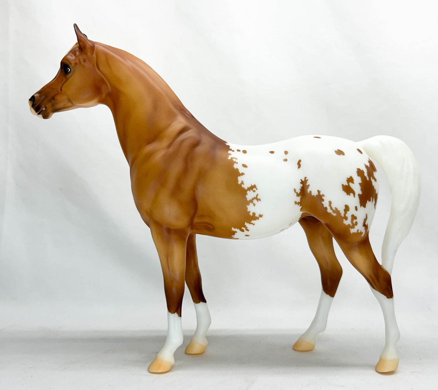 Proud Arabian Mare and Foal, Ara-Appaloosas - Web Special