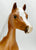Proud Arabian Mare and Foal, Ara-Appaloosas - Web Special