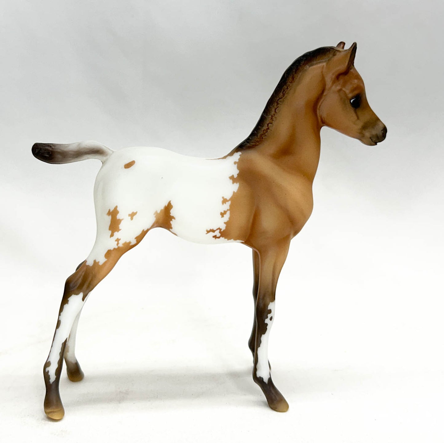 Proud Arabian Mare and Foal, Ara-Appaloosas - Web Special