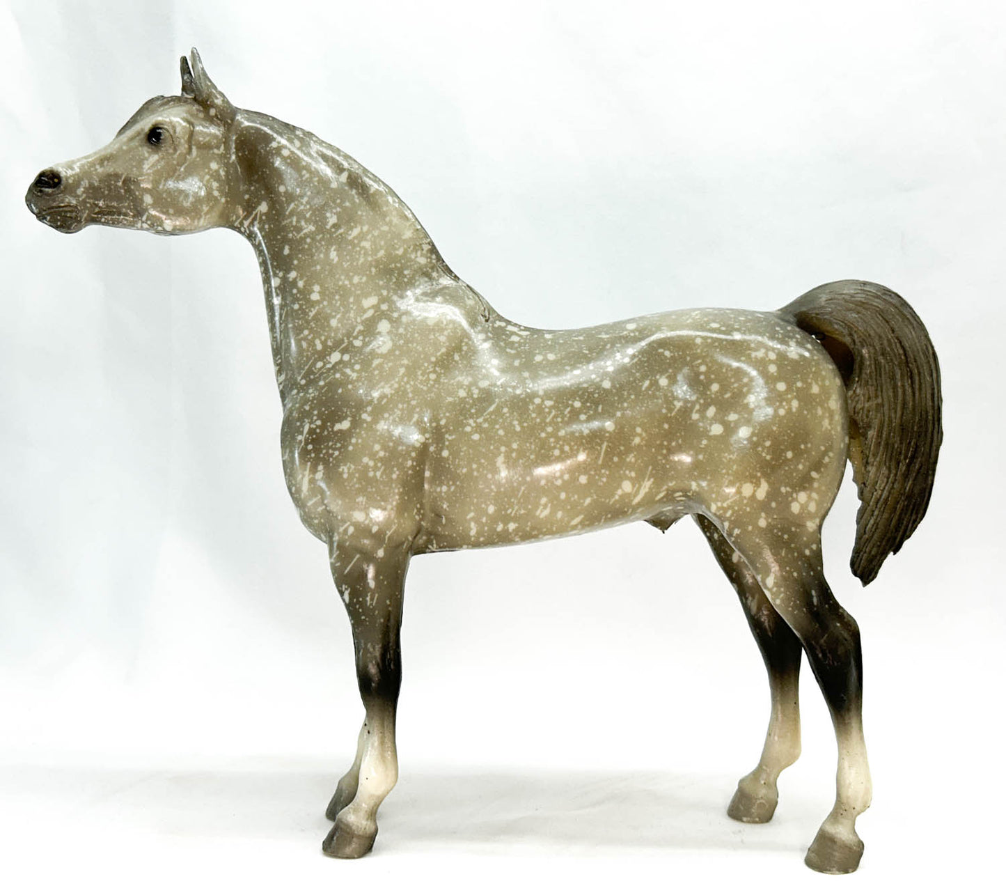 Proud Arabian Stallion, Dapple Grey, Semi-gloss from Eleda's herd - Variation