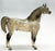 Proud Arabian Stallion, Dapple Grey, Semi-gloss from Eleda's herd - Variation