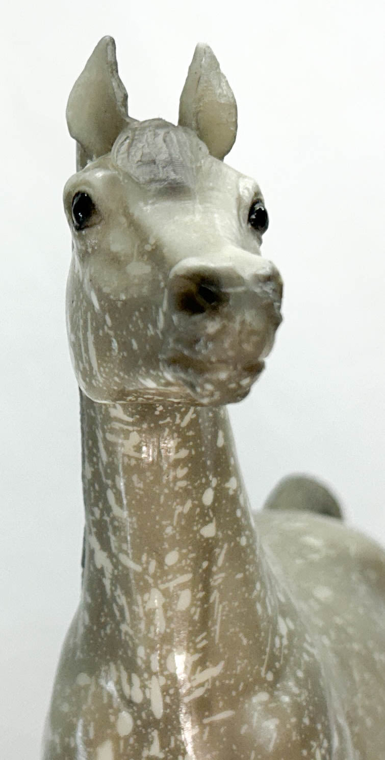 Proud Arabian Stallion, Dapple Grey, Semi-gloss from Eleda's herd - Variation