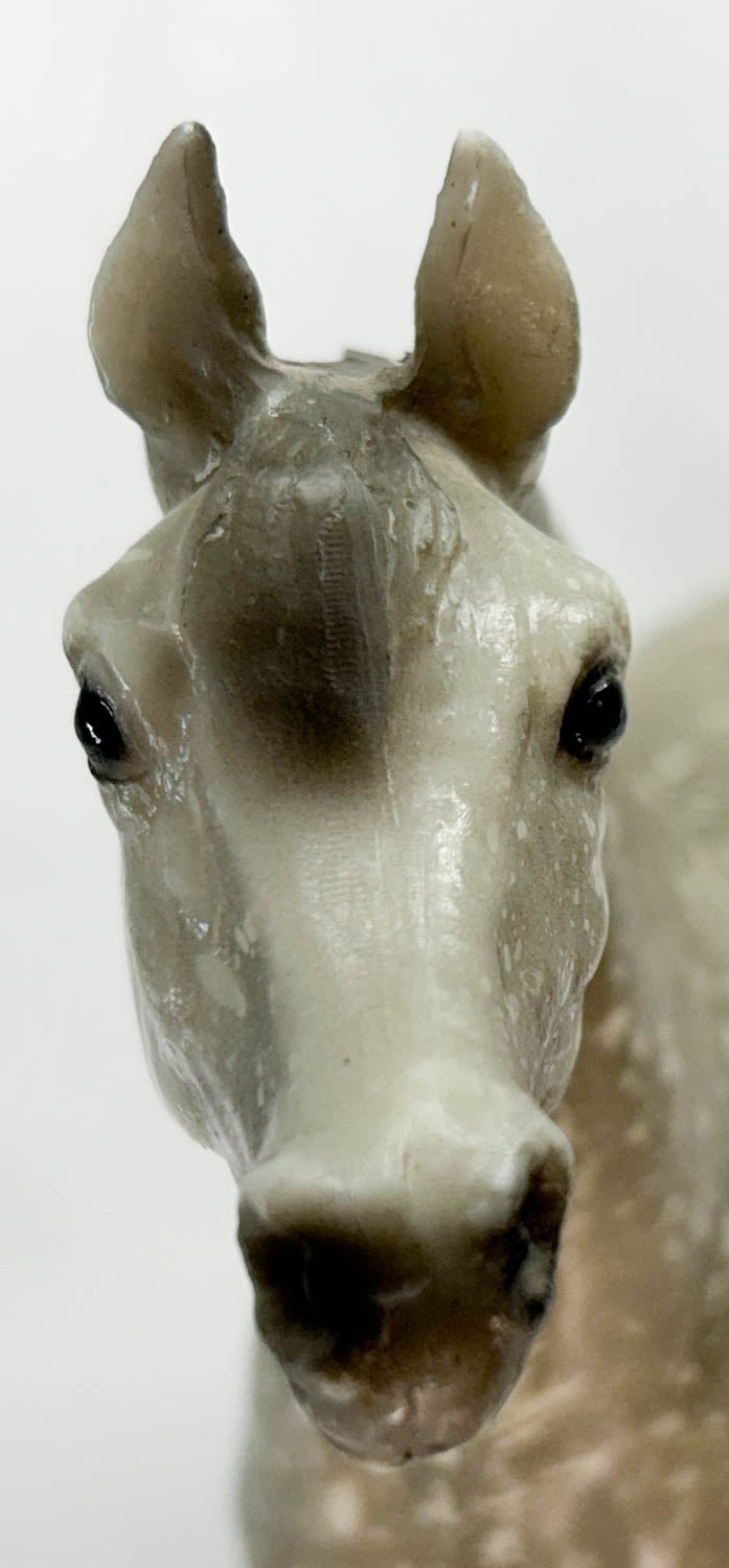 Proud Arabian Stallion, Dapple Grey, Semi-gloss from Eleda's herd - Variation