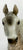 Proud Arabian Stallion, Dapple Grey, Semi-gloss from Eleda's herd - Variation