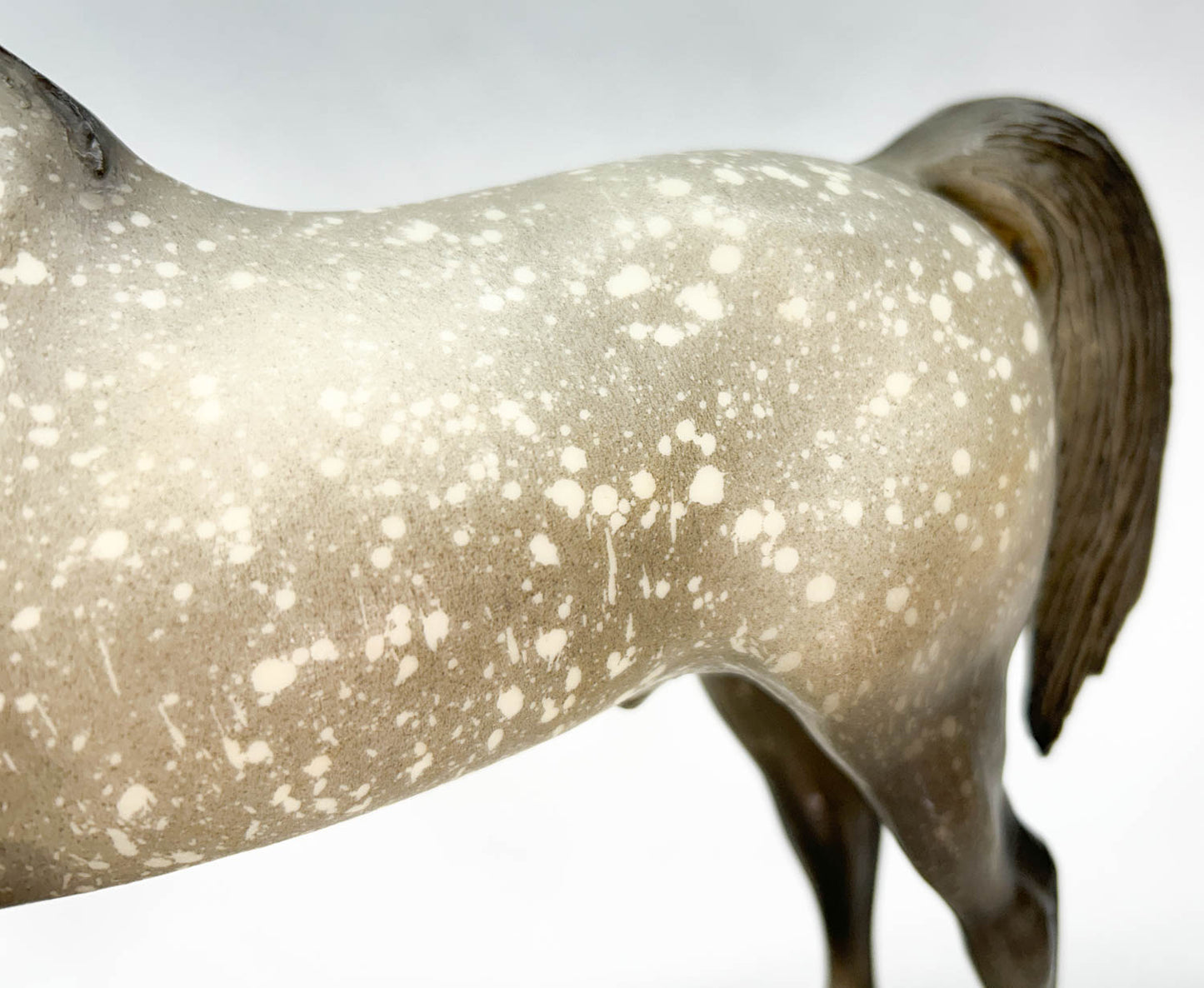 Proud Arabian Stallion, Dapple Grey, Matte from Eleda's herd