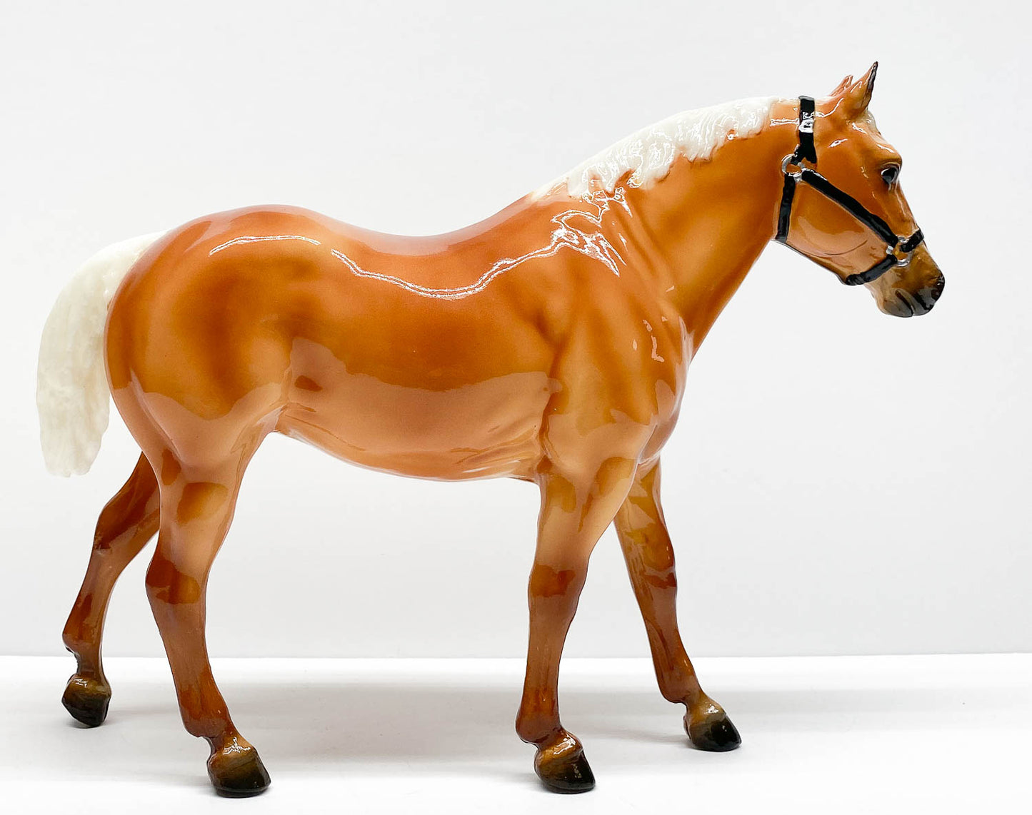 Quarter Horse Gelding - Web Exclusive