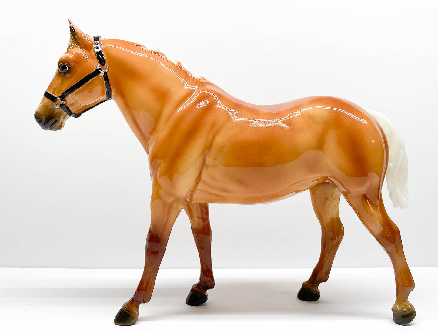 Quarter Horse Gelding - Web Exclusive