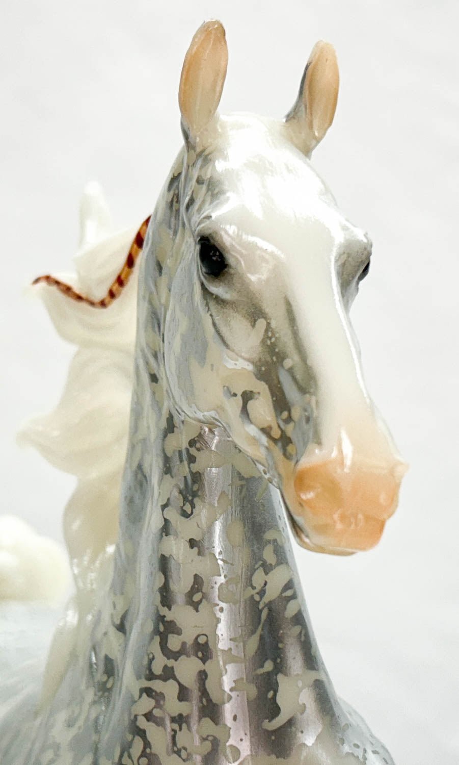 Racking Saddlebred ~ Tahoe