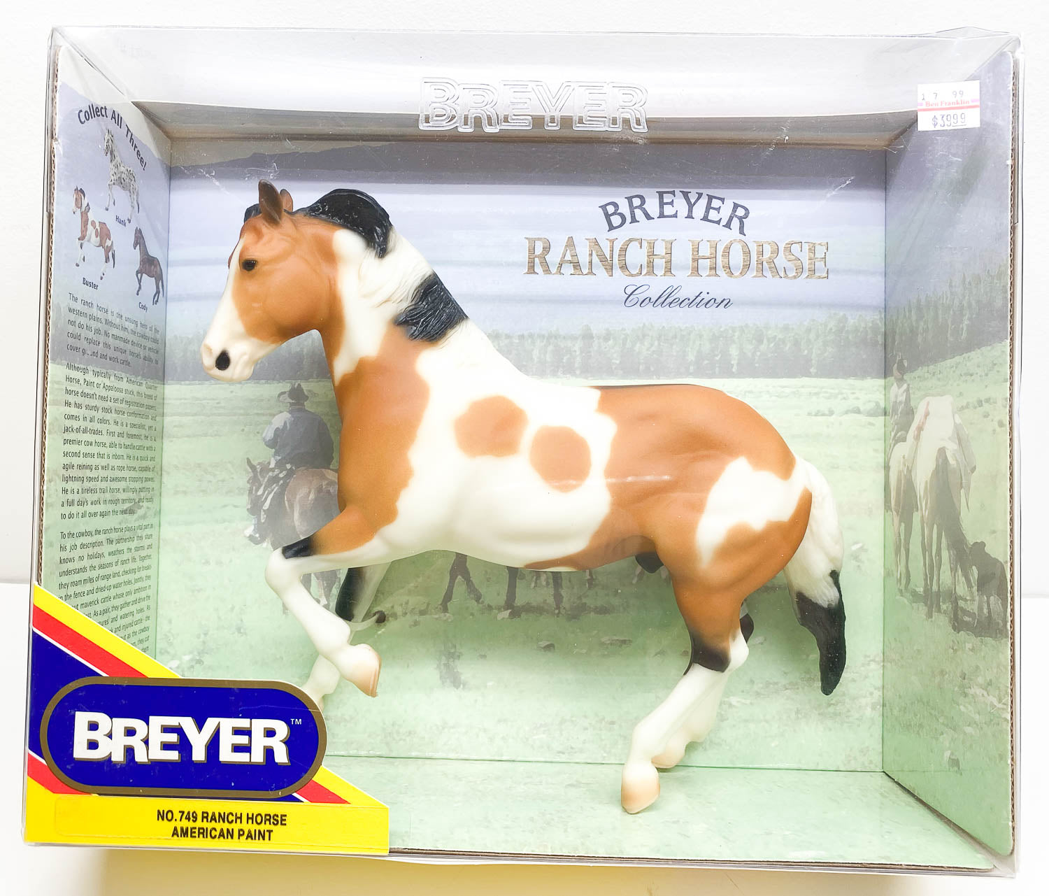 Ranch Horse ~ Buster