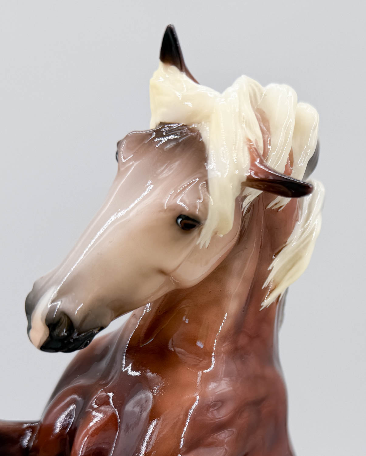 Rearing Andalusian Mare ~ Carmen - GLOSSY - 2026 Premier Club
