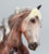 Rearing Andalusian Mare ~ Carmen - GLOSSY - 2026 Premier Club
