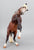 Rearing Andalusian Mare ~ Carmen - GLOSSY - 2026 Premier Club