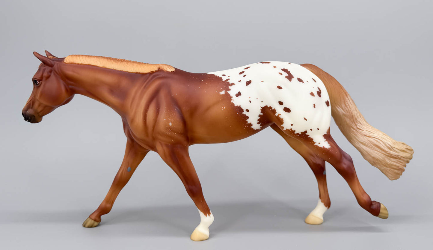 Roxy ~ CC Shuffle Surprise Model, Chestnut Appaloosa - BreyerFest 2013 SR