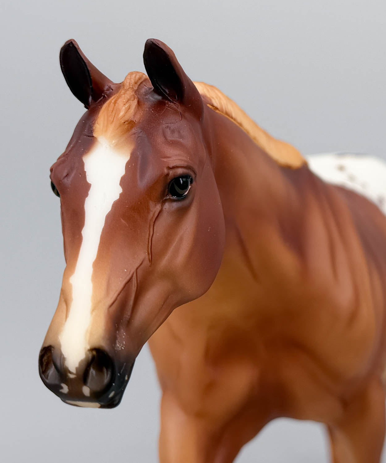 Roxy ~ CC Shuffle Surprise Model, Chestnut Appaloosa - BreyerFest 2013 SR