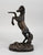 Royal Heritage Collection Bronze Wild Stallion