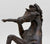 Royal Heritage Collection Bronze Wild Stallion