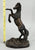Royal Heritage Collection Bronze Wild Stallion