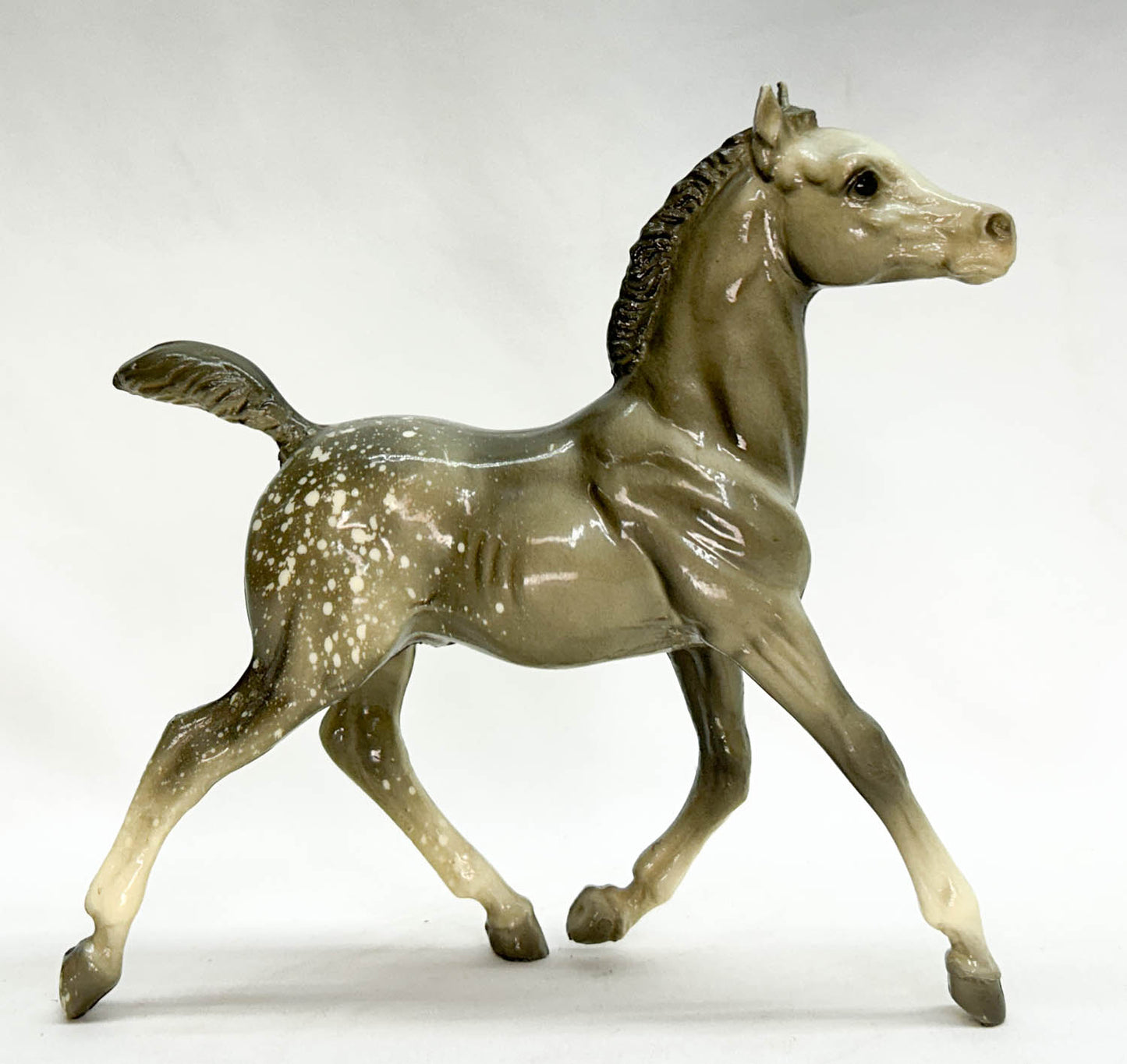 Running Foal ~ Spice, Glossy Dapple Grey from Eleda's herd