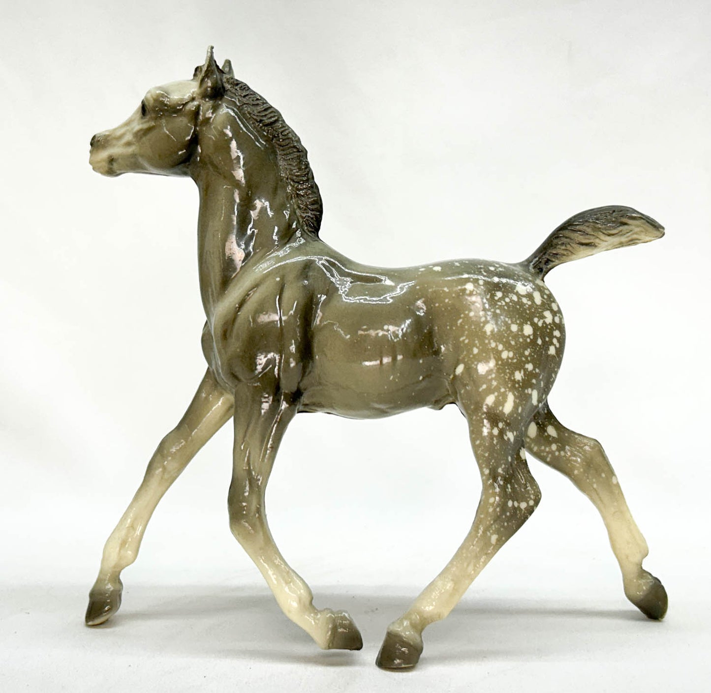 Running Foal ~ Spice, Glossy Dapple Grey from Eleda's herd
