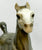 Running Foal ~ Spice, Glossy Dapple Grey from Eleda's herd