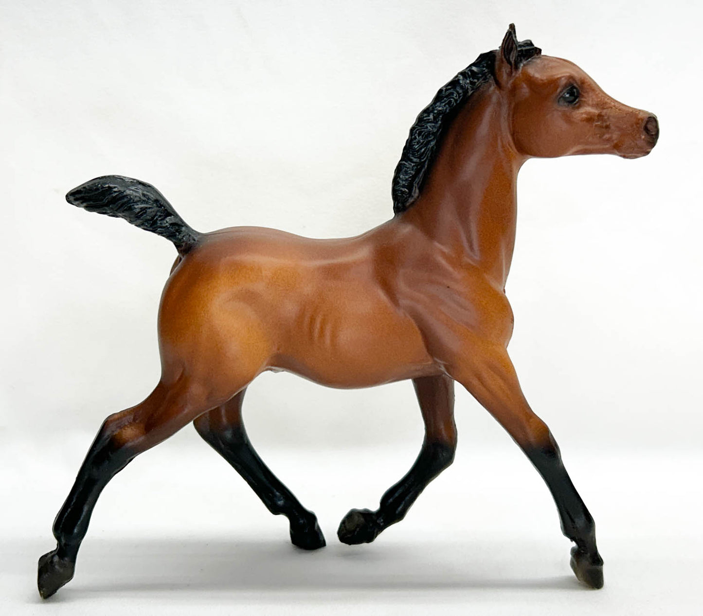 Running Foal, True Bay - Sears SR