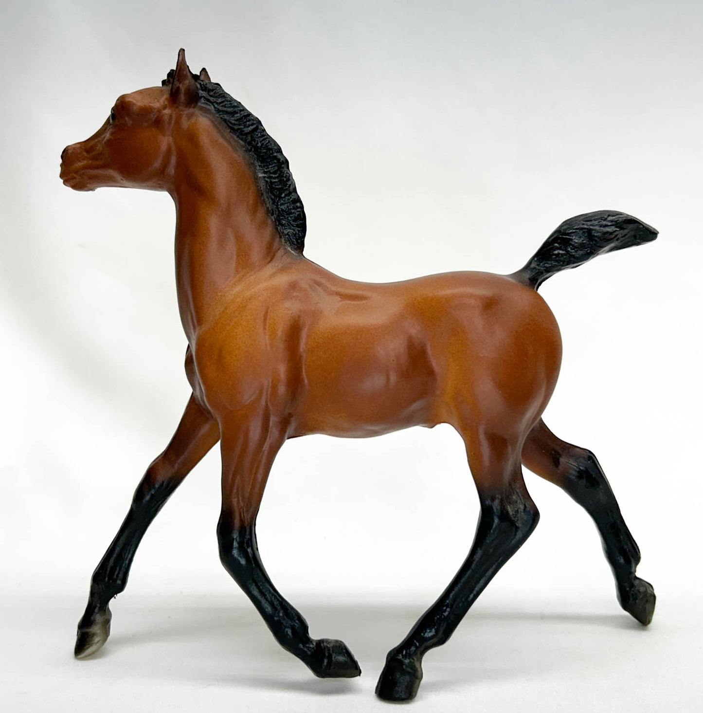 Running Foal, True Bay - Sears SR