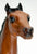 Running Foal, True Bay - Sears SR