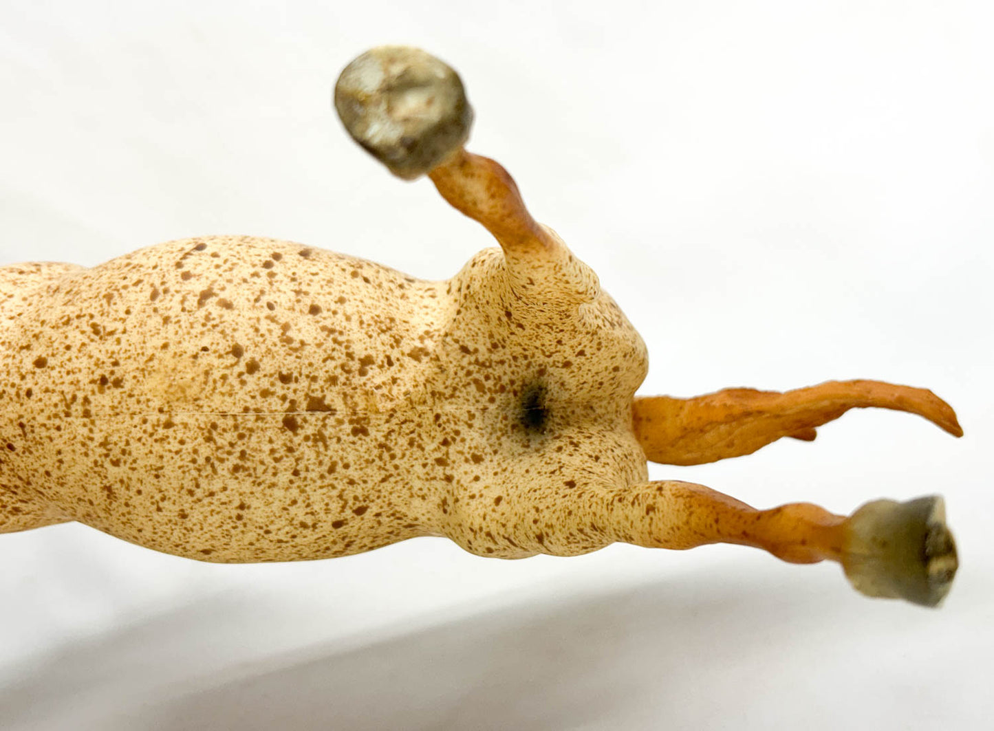 Running Stallion, Red Roan from Eleda's herd