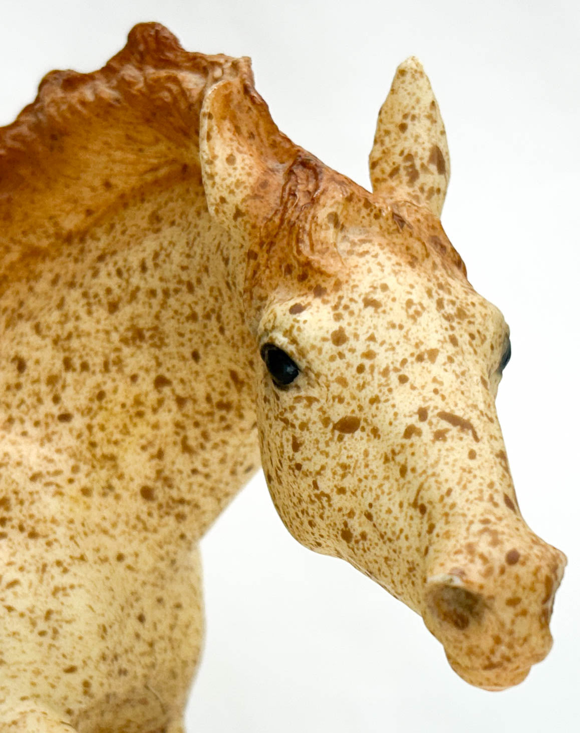 Running Stallion, Red Roan from Eleda's herd