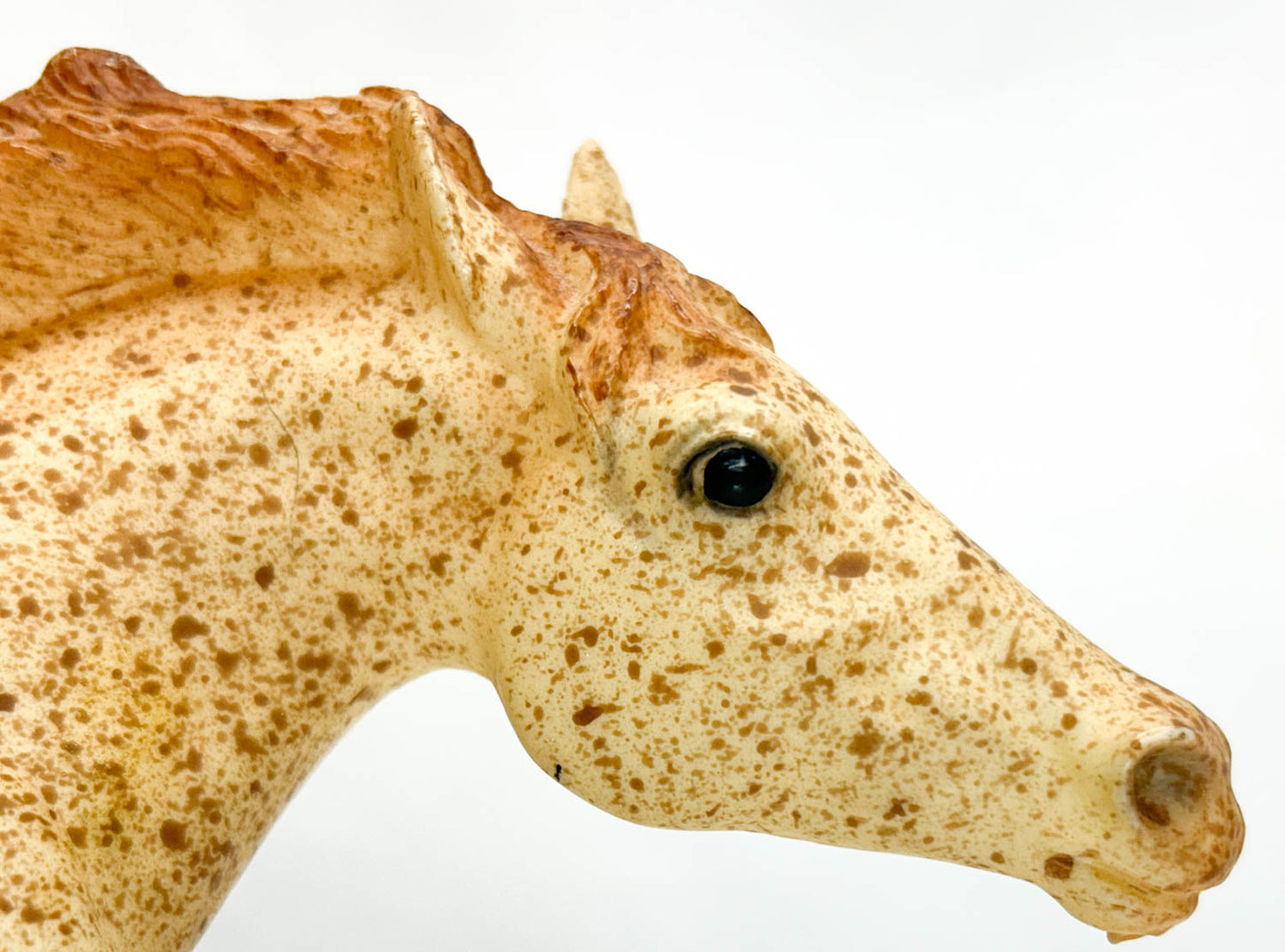 Running Stallion, Red Roan from Eleda's herd