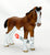 Clydesdale Foal, Chestnut
