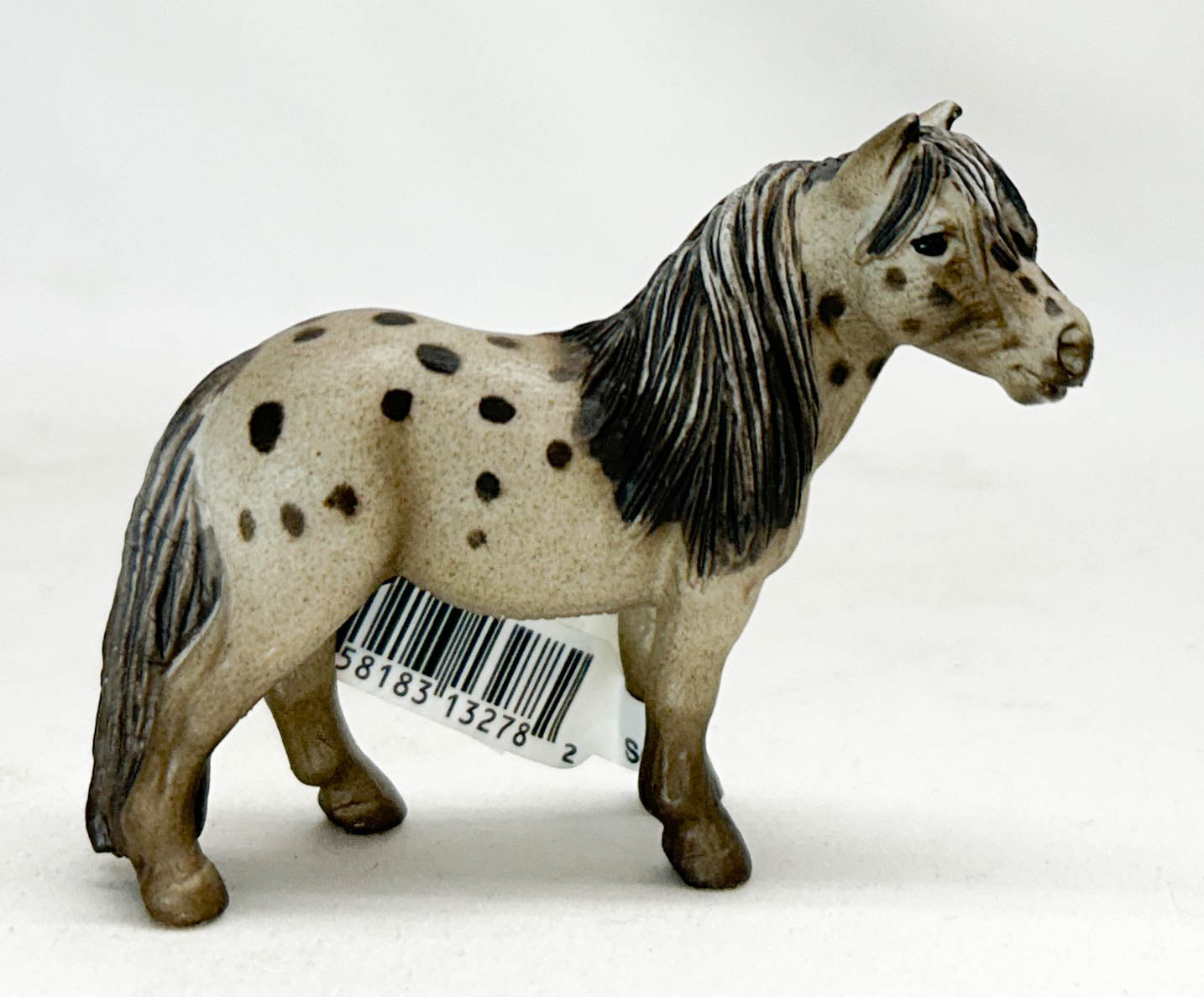 Falabella Gelding, Liver Chestnut Appaloosa